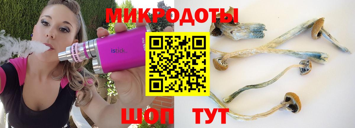 Галлюциногенные грибы прущие грибы  Псилоцибиновые грибы Psilocybine cubensis  Вход с VPN  Новочебоксарск 